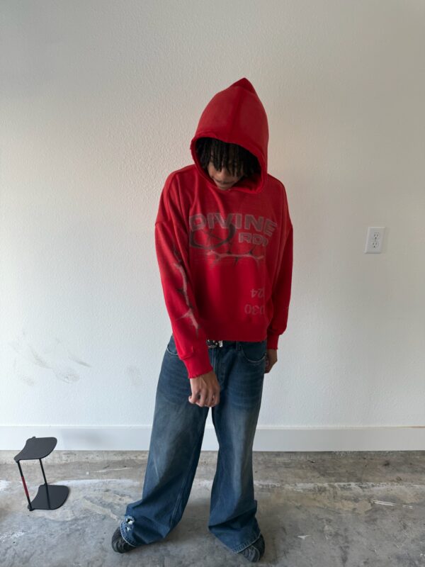 Agony hoodies - Image 8